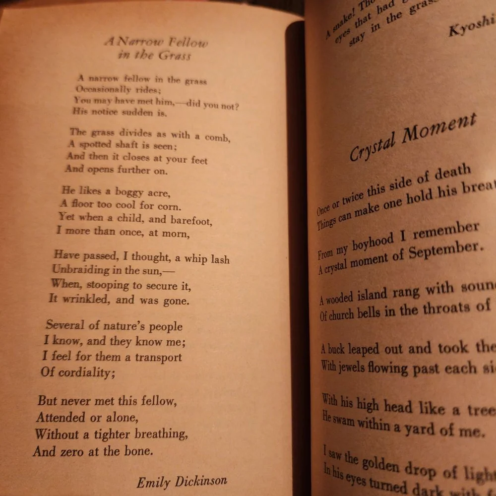 Cavalcade of Poems, 1968 Paperback